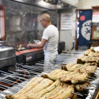 小江戸に漂う香ばしさ　「土用の丑」ウナギで英気　香取「割烹やま川」　開店と同時に観光客次々　「身が肉厚で、ふっくら」
