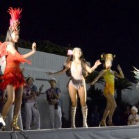 ６年ぶりサマーカーニバル　情熱的な踊り披露　山武市