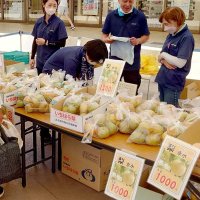 市原フルーツ味わって　梨品評会は根本さん栄冠　フェス盛況