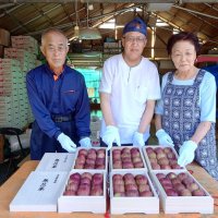 「姉崎いちじく」皇室献上へ　猛暑乗り越え上品な甘みと芳香　市原　相川さん、丹精込め栽培