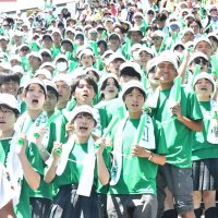 緑のアルプス選手後押し　４カ月ぶり応援団も奮闘　専大松戸初戦突破　第１０５回全国高校野球選手権大会