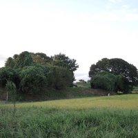 水田近くにひっそりたたずむ関宿城の本丸跡。右奥には同城を復元した県立関宿城博物館の雄姿が見える＝１１日、野田市
