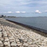 市川市、三番瀬護岸を干潟化へ　「長年の悲願」親水拠点目指し現地調査