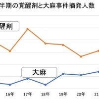 大麻摘発最多１４０人　ＳＮＳで若者にまん延　千葉県警上半期まとめ