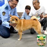 柴犬「むぎ」一役　高齢者の保護に　散歩中、お座りで飼い主に伝え　成田署　感謝状とドッグフード贈る