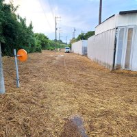 道路を埋め尽くす稲わら…　収穫後の田から流出し散乱　台風１３号に伴う記録的な大雨で茂原