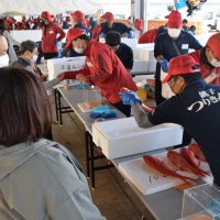 新鮮な海の幸ＰＲ　「銚子港水産まつり」　ブランドキンメや生マグロ販売