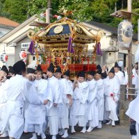 ６年ぶり大みこし威勢良く　東金・田間神社で「神幸祭」