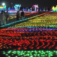 幻想的な光の世界を楽しむ来場者＝袖ケ浦市の東京ドイツ村