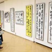 多彩な書１３９点一堂に　成田市協会展５日まで展示　日報賞に長谷川さん