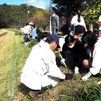 ニッコウキスゲ広がれ　周南小児童と住民が植栽　君津
