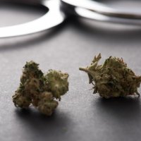 大麻所持の僧侶起訴　千葉地検八日市場支部