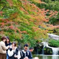 木々が色づき始めた成田山公園に訪日外国人など多くの観光客が訪れた＝１１日、成田市