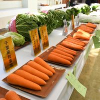 旬野菜や屋台で活気　富里秋まつり伝統の農作業踊りも