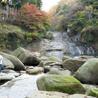 養老渓谷　粟又の滝が見学再開　台風被害の通行止め解除に　紅葉も間もなく見頃