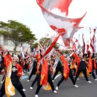 躍動演舞で銚子熱気　黒潮よさこい祭り１７００人集結