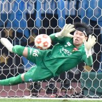 ＰＫ戦で川崎５人目のキッカーのシュートを止める柏の松本＝９日