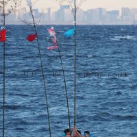 厳寒の海、勇壮に梵天立て　五穀豊穣や大漁願う　木更津