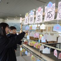 ＜受験生応援!！＞短冊で合格祈願　東武野田線運河駅