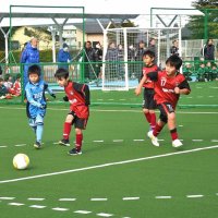 プールが変身！人工芝コートに　成田　夏以外は床上昇　サッカー少年キックオフ