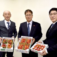 甘くて大粒味わって　千葉県内生産者ら　自慢のイチゴＰＲ