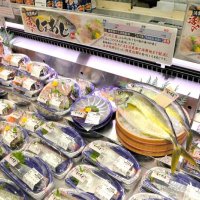 消費地近くで締め、より鮮度高く　イオン「活〆しまあじ」販売　県内外３８０店、月１回程度開催へ