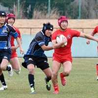 決勝は流通経大柏─専大松戸　ラグビー　千葉県高校新人大会