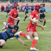 流通経大柏１０Ｔもおごらず反省　ラグビー　千葉県高校新人大会準決勝