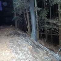 大多喜焼けた車に遺体　死亡男性はベトナム国籍か　別事件で焼損車両を追跡
