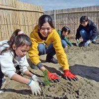 「大きく育ってね」　津波被害の海岸保安林再生へ　親子でクロマツ植樹　旭市