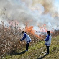 新芽促し環境保全　地元中学生、意義学ぶ　東庄の湿原でヨシ焼き