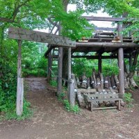 市立稲毛二小が整備したビオトープ「いのちの森」（同小提供）
