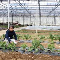 独自農法で環境再生　幻のソース復刻や６次化も　アフリット（木更津市）　【ちばの元気企業】