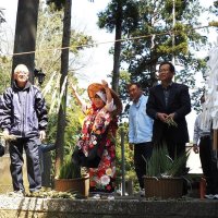 ヨシ苗投げて豊作祈願　袖ケ浦・飽富神社「お田植神事」