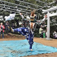 豊穣願い激しく勇壮に　酒々井「上岩橋の獅子舞」３神社で奉納　町の無形民俗文化財