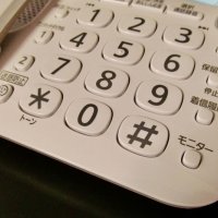 １７歳の無職少年、詐欺容疑で逮捕　受け子の勧誘役か　電話de詐欺
