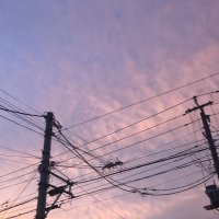 千葉県内強風、ＪＲ乱れる　各地で停電も　佐倉、八街など