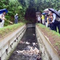 市川・新浜鴨場での見学会、参加者募集　宮内庁、６月開催