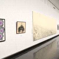 風景や植物　濃淡で表現　千葉県立美術館１９日まで「墨の県展」