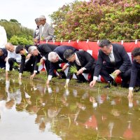 五穀豊穣、伝統継承願い　明治天皇ゆかりの主基斎田跡　恒例「お田植え祭り」　鴨川