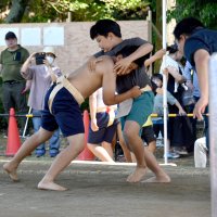 ５年ぶり熱戦復活　佐倉、わんぱく相撲に１２０人