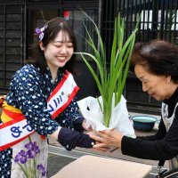 ミスあやめの木内さんが来園者にハナショウブの苗をプレゼントした＝２５日、香取市