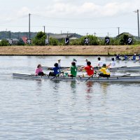 市民レガッタ　出場チーム募集　香取・黒部川で７月７日