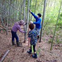 竹林を整備、重要性学ぶ　タケノコご飯に舌鼓も　市原で小中学生