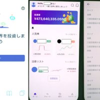 ＳＮＳ詐欺　千葉県内でも被害多発　１～４月３０件５．４億円　投資型、７０代が半数　ロマンス型、男性７割