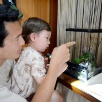 金色のカエルを観察する伊藤康仁さん（左）と廉眞ちゃん＝大網白里市