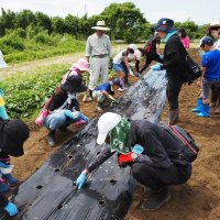 親子で枝豆栽培体験　木更津　９組２３人が植え付け