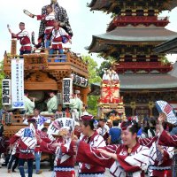 成田山新勝寺から引き手たちが踊りながら参道へ繰り出す山車＝５日、成田市