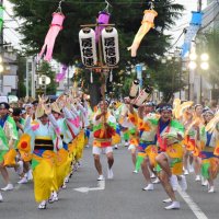ウクライナ避難民も来場夏満喫　茂原七夕まつり閉幕
