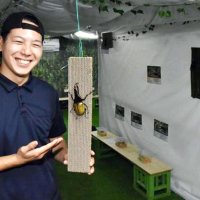 世界のカブトムシずらり　廃棄物で飼育、環境学習も　船橋競馬場
